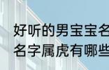 好听的男宝宝名字属虎 好听的男宝宝名字属虎有哪些