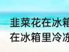 韭菜花在冰箱里冷冻能放多久 韭菜花在冰箱里冷冻可以放多长时间