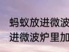 蚂蚁放进微波炉里加热会死吗 蚂蚁放进微波炉里加热会不会死