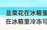 韭菜花在冰箱里冷冻能放多久 韭菜花在冰箱里冷冻可以放多长时间