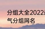 分组大全2022最新版的 高冷二字霸气分组网名