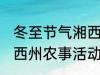 冬至节气湘西州农事活动 冬至节气湘西州农事活动是什么