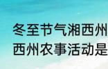 冬至节气湘西州农事活动 冬至节气湘西州农事活动是什么