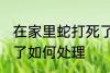 在家里蛇打死了怎么办 在家里蛇打死了如何处理