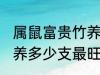 属鼠富贵竹养几支最旺运 属鼠富贵竹养多少支最旺运