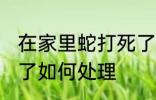 在家里蛇打死了怎么办 在家里蛇打死了如何处理