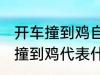 开车撞到鸡自己也摔有什么兆头 开车撞到鸡代表什么意思