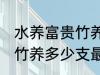 水养富贵竹养几支最旺运财 水养富贵竹养多少支最旺运财