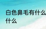 白色鼻毛有什么兆头 白色鼻毛代表了什么