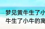 梦见黄牛生了小牛有什么兆头 梦见黄牛生了小牛的寓意是啥