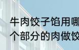 牛肉饺子馅用哪个部位的牛肉 牛的那个部分的肉做饺子馅比较好吃