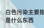 白色污染主要指的是什么 白色污染的是什么东西