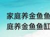 家庭养金鱼鱼缸里放什么水草好呢 家庭养金鱼鱼缸里放哪种水草好呢