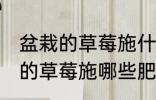 盆栽的草莓施什么肥好不要化肥 盆栽的草莓施哪些肥好不要化肥