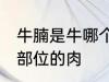 牛腩是牛哪个部位的肉 牛腩是牛什么部位的肉