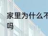 家里为什么不养扶桑 家里可以养扶桑吗