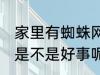 家里有蜘蛛网好事坏事 家里有蜘蛛网是不是好事呢