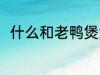 什么和老鸭煲汤最好 老鸭煲汤做法