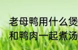 老母鸭用什么煲汤最好 哪些食物可以和鸭肉一起煮汤