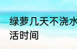 绿萝几天不浇水会死 不浇水的绿萝成活时间