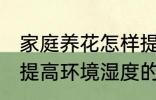 家庭养花怎样提高环境湿度 家庭养花提高环境湿度的技巧